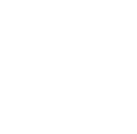 logo-Palazzo-Ponte-Piccolo-s